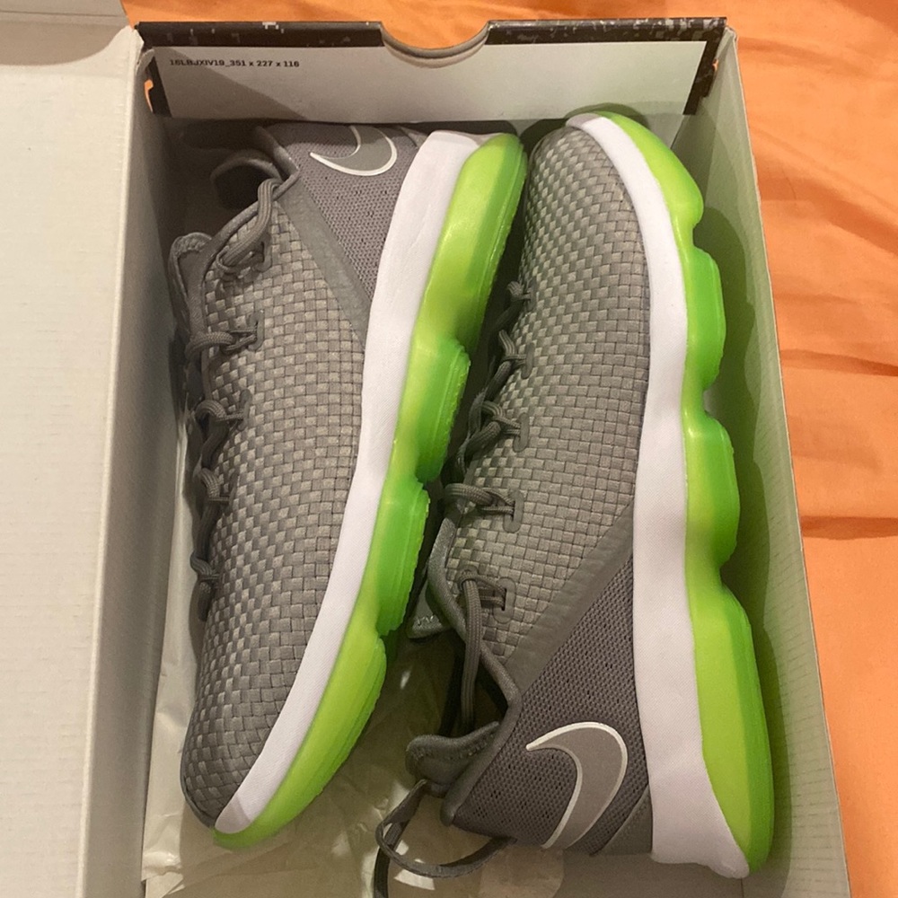 NWOT Lebron James XIV low shoes